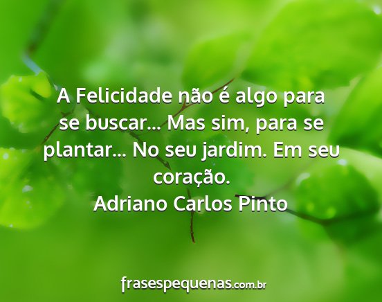 Adriano Carlos Pinto - A Felicidade não é algo para se buscar... Mas...
