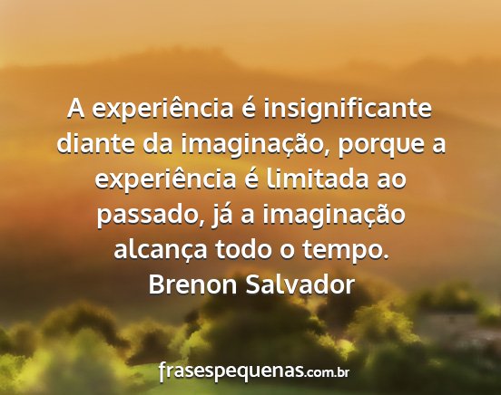 Brenon Salvador - A experiência é insignificante diante da...