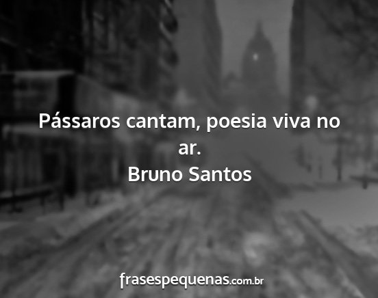 Bruno Santos - Pássaros cantam, poesia viva no ar....