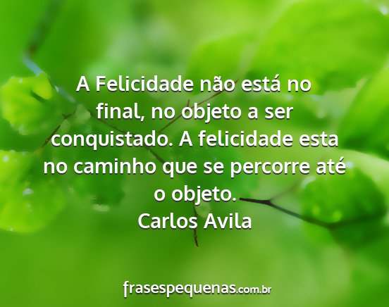 Carlos Avila - A Felicidade não está no final, no objeto a ser...