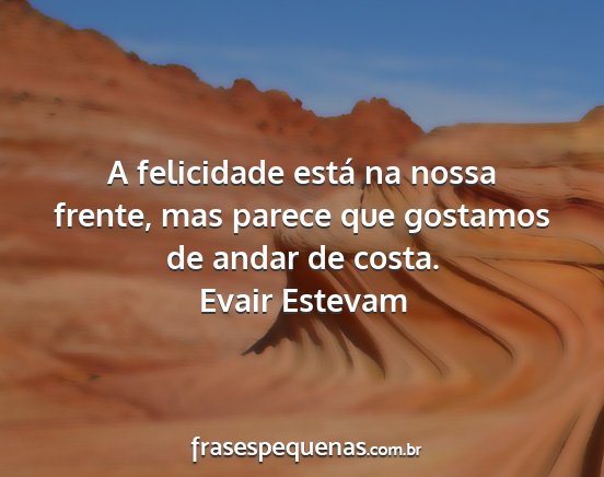 Evair Estevam - A felicidade está na nossa frente, mas parece...