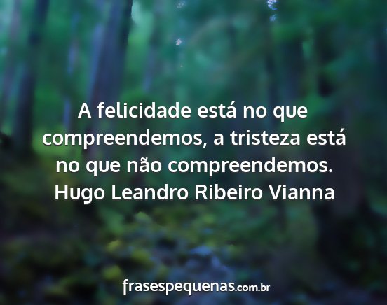 Hugo Leandro Ribeiro Vianna - A felicidade está no que compreendemos, a...