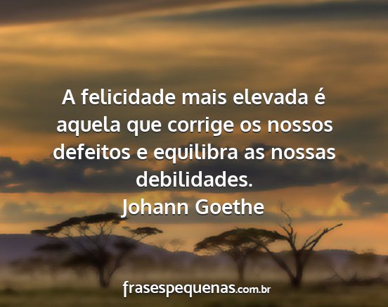 Johann Goethe - A felicidade mais elevada é aquela que corrige...