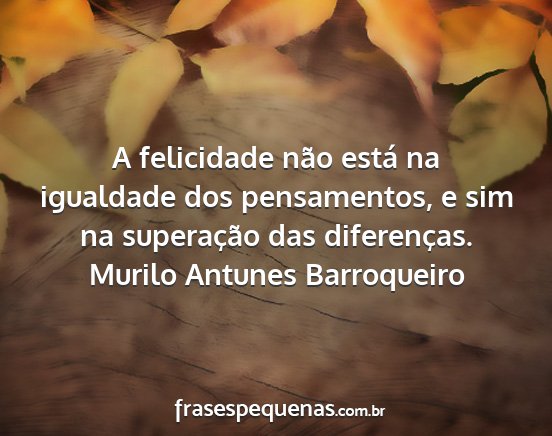 Murilo Antunes Barroqueiro - A felicidade não está na igualdade dos...
