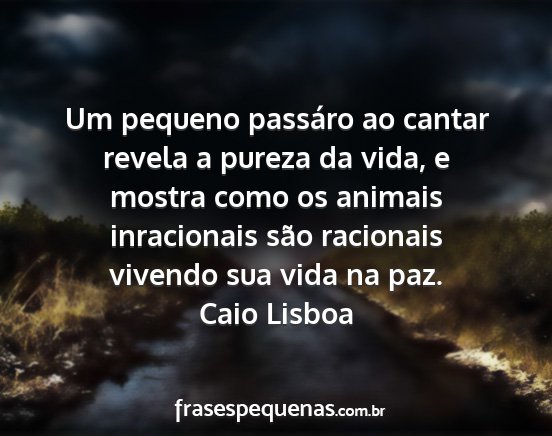 Caio Lisboa - Um pequeno passáro ao cantar revela a pureza da...