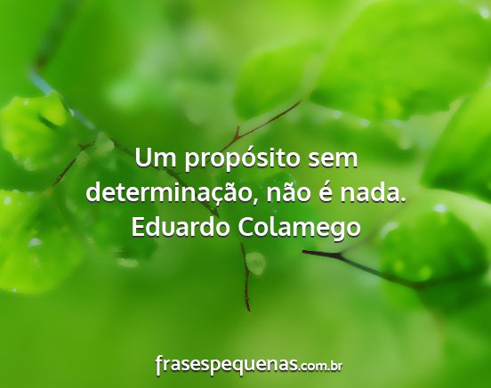 Eduardo Colamego - Um propósito sem determinação, não é nada....