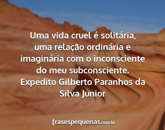 Expedito Gilberto Paranhos da Silva Junior - Uma vida cruel é solitária, uma relação...