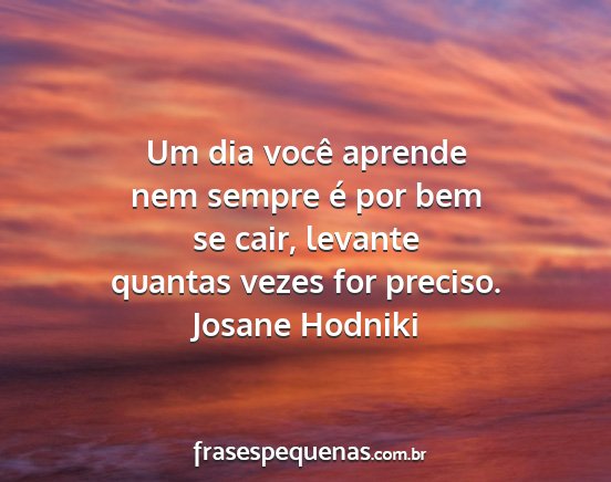 Josane Hodniki - Um dia você aprende nem sempre é por bem se...
