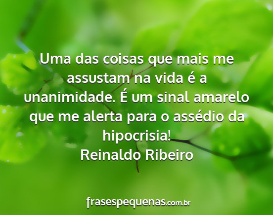 Reinaldo Ribeiro - Uma das coisas que mais me assustam na vida é a...