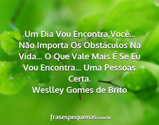 Weslley Gomes de Brito - Um Dia Vou Encontra Você... Não Importa Os...