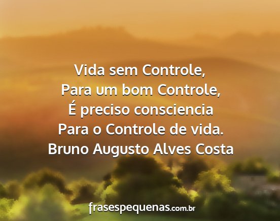 Bruno Augusto Alves Costa - Vida sem Controle, Para um bom Controle, É...
