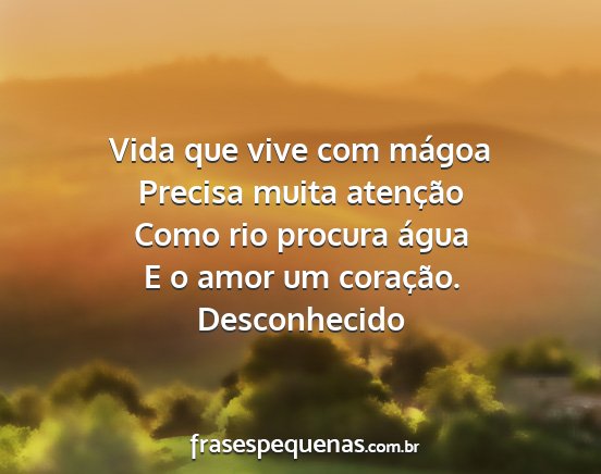 Desconhecido - Vida que vive com mágoa Precisa muita atenção...