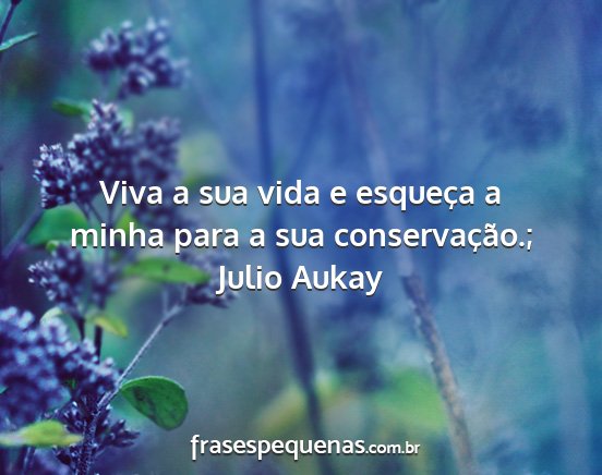 Julio Aukay - Viva a sua vida e esqueça a minha para a sua...