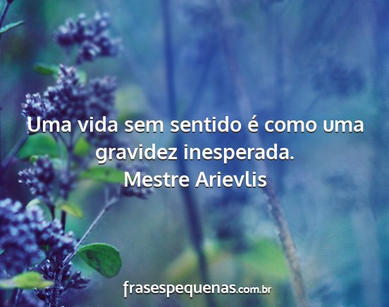 Mestre Arievlis - Uma vida sem sentido é como uma gravidez...