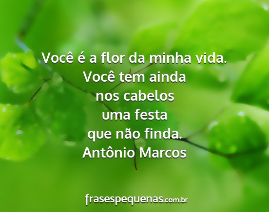 Antônio Marcos - Você é a flor da minha vida. Você tem ainda...