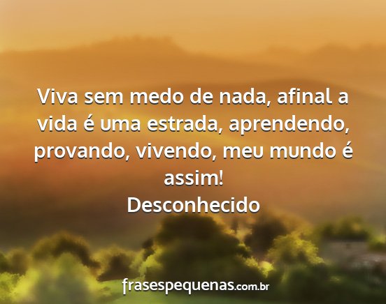 Desconhecido - Viva sem medo de nada, afinal a vida é uma...