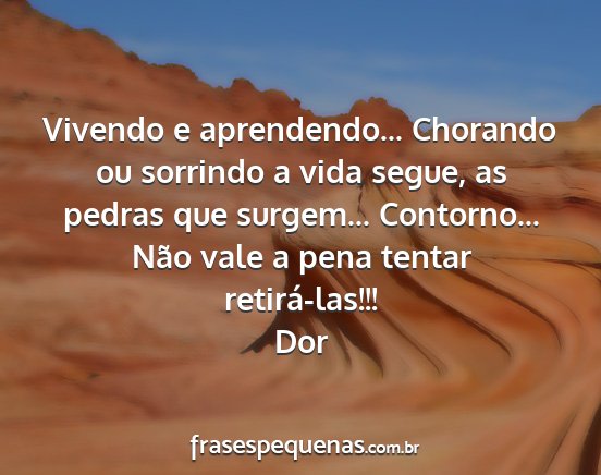 Dor - Vivendo e aprendendo... Chorando ou sorrindo a...