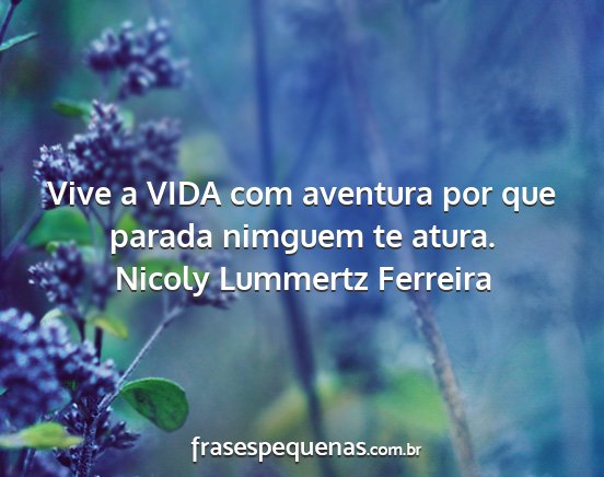 Nicoly Lummertz Ferreira - Vive a VIDA com aventura por que parada nimguem...