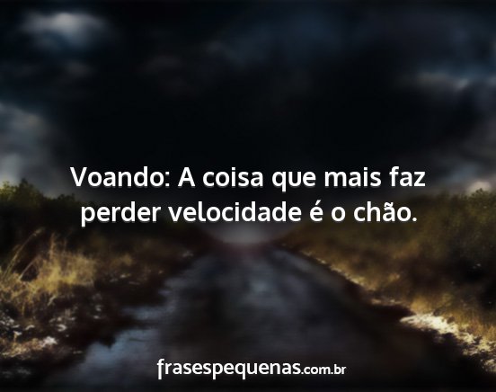 Voando: A coisa que mais faz perder velocidade é...