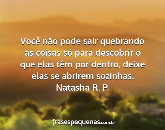 Natasha R. P. - Você não pode sair quebrando as coisas só para...