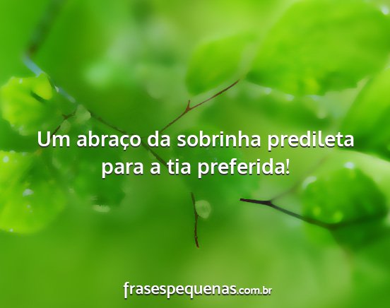 Um abraço da sobrinha predileta para a tia...