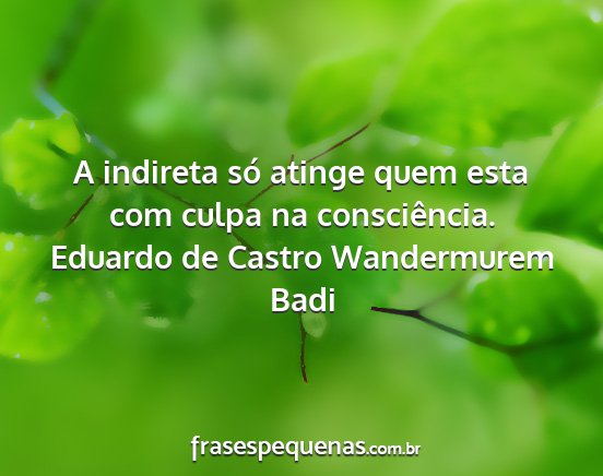 Eduardo de Castro Wandermurem Badi - A indireta só atinge quem esta com culpa na...