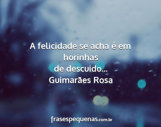 Guimarães Rosa - A felicidade se acha é em horinhas de descuido......