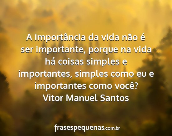 Vitor Manuel Santos - A importância da vida não é ser importante,...