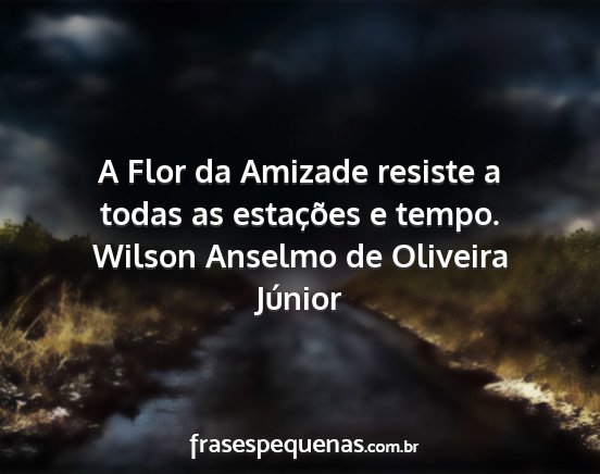 Wilson Anselmo de Oliveira Júnior - A Flor da Amizade resiste a todas as estações e...