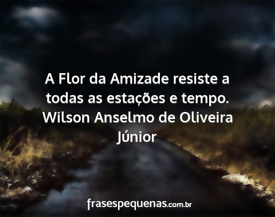 Wilson Anselmo de Oliveira Júnior - A Flor da Amizade resiste a todas as estações e...