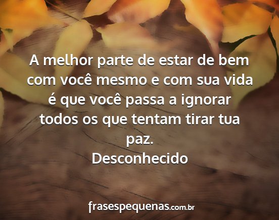 Desconhecido - A melhor parte de estar de bem com você mesmo e...