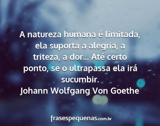 Johann Wolfgang Von Goethe - A natureza humana é limitada, ela suporta a...